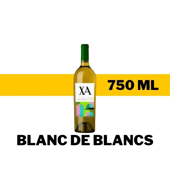 V.B.M. DOMECQ BLANC DE BLANCS 750ML