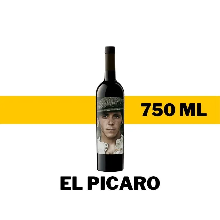 V.T.E. MATSU EL PICARO 750 ML