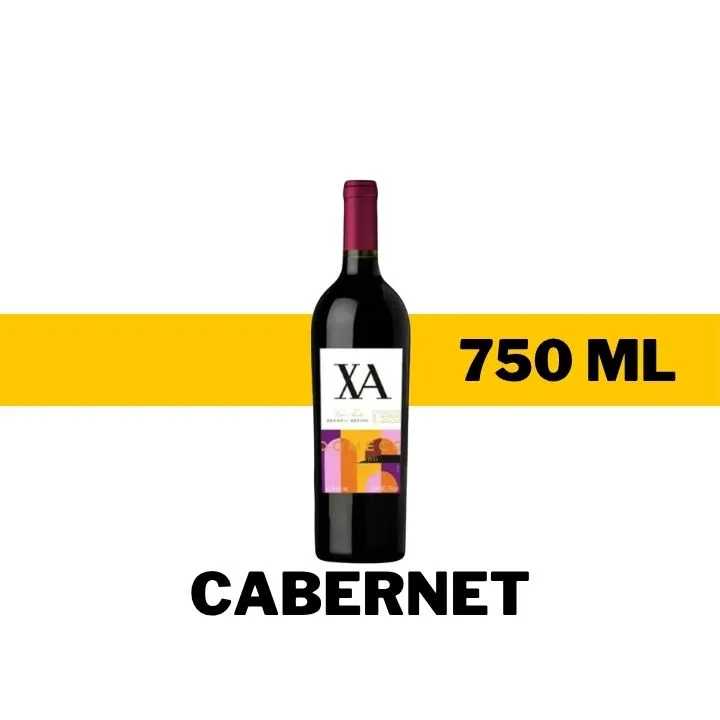 V.T.M. XA DOMECQ CABERNET 750 ML