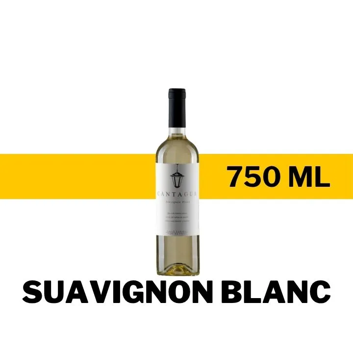 V.B.C. CANTAGUA SAUVIGNON BLANC 750 ML
