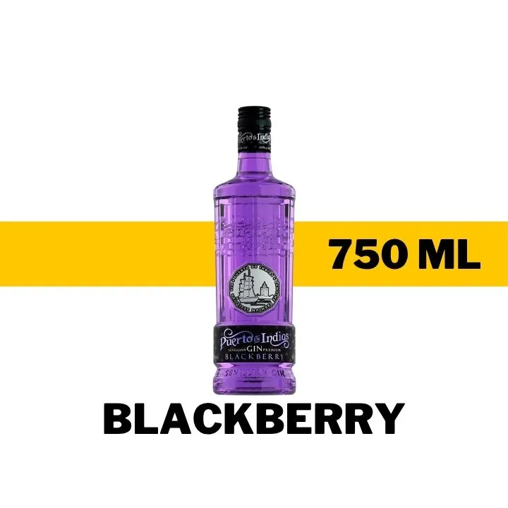 GINEBRA PUERTO DE INDIAS BLACKBERRY 750 ML